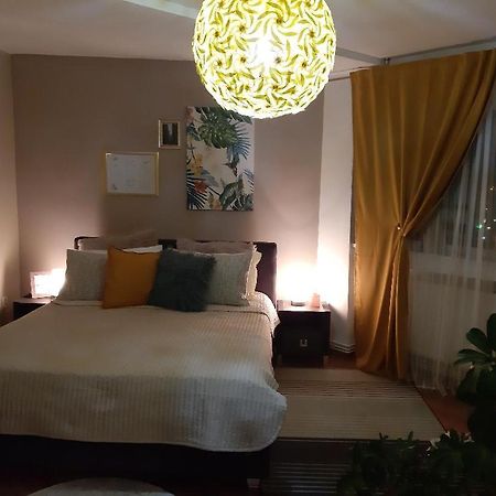 Alba House Apartment Alba Iulia Ngoại thất bức ảnh